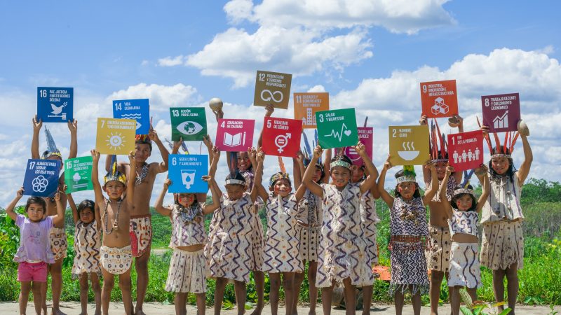 شركاء في الاستدامة: برنامج الأمم المتحدة الإنمائي